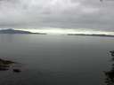 ./images/koeye/fitz-hugh/20150711/fitz-hugh20150711_090302.jpg