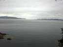 ./images/koeye/fitz-hugh/20150711/fitz-hugh20150711_103302.jpg