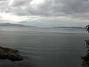 ./images/koeye/fitz-hugh/20150711/fitz-hugh20150711_140302.jpg