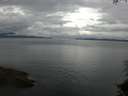 ./images/koeye/fitz-hugh/20150712/fitz-hugh20150712_080004.jpg