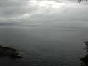 ./images/koeye/fitz-hugh/20150712/fitz-hugh20150712_083302.jpg