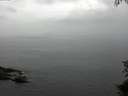 ./images/koeye/fitz-hugh/20150712/fitz-hugh20150712_093301.jpg