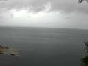 ./images/koeye/fitz-hugh/20150712/fitz-hugh20150712_110302.jpg