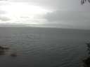 ./images/koeye/fitz-hugh/20150712/fitz-hugh20150712_121506.jpg