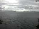 ./images/koeye/fitz-hugh/20150712/fitz-hugh20150712_122402.jpg