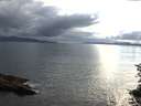 ./images/koeye/fitz-hugh/20150712/fitz-hugh20150712_183302.jpg