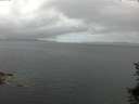 ./images/koeye/fitz-hugh/20150713/fitz-hugh20150713_121506.jpg