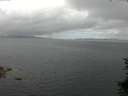 ./images/koeye/fitz-hugh/20150713/fitz-hugh20150713_121803.jpg
