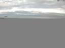 ./images/koeye/fitz-hugh/20150714/fitz-hugh20150714_063303.jpg