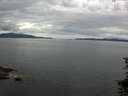 ./images/koeye/fitz-hugh/20150714/fitz-hugh20150714_113301.jpg