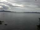 ./images/koeye/fitz-hugh/20150714/fitz-hugh20150714_140004.jpg