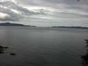 ./images/koeye/fitz-hugh/20150714/fitz-hugh20150714_140301.jpg