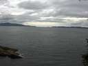 ./images/koeye/fitz-hugh/20150714/fitz-hugh20150714_160303.jpg
