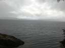 ./images/koeye/fitz-hugh/20150715/fitz-hugh20150715_063302.jpg