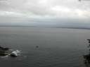 ./images/koeye/fitz-hugh/20150720/fitz-hugh20150720_060005.jpg
