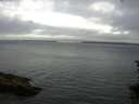 ./images/koeye/fitz-hugh/20150720/fitz-hugh20150720_080006.jpg