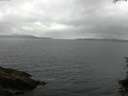 ./images/koeye/fitz-hugh/20150720/fitz-hugh20150720_122103.jpg