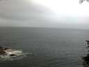./images/koeye/fitz-hugh/20150721/fitz-hugh20150721_060005.jpg