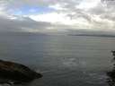 ./images/koeye/fitz-hugh/20150721/fitz-hugh20150721_100005.jpg