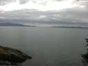 ./images/koeye/fitz-hugh/20150722/fitz-hugh20150722_120006.jpg