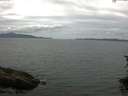 ./images/koeye/fitz-hugh/20150723/fitz-hugh20150723_120005.jpg