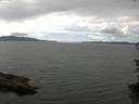 ./images/koeye/fitz-hugh/20150726/fitz-hugh20150726_140004.jpg