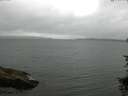 ./images/koeye/fitz-hugh/20150728/fitz-hugh20150728_080005.jpg