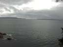 ./images/koeye/fitz-hugh/20150728/fitz-hugh20150728_121803.jpg