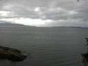 ./images/koeye/fitz-hugh/20150728/fitz-hugh20150728_180004.jpg