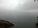 ./images/koeye/fitz-hugh/20150729/fitz-hugh20150729_060006.jpg