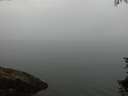 ./images/koeye/fitz-hugh/20150729/fitz-hugh20150729_063006.jpg