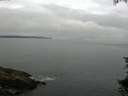 ./images/koeye/fitz-hugh/20150729/fitz-hugh20150729_083005.jpg