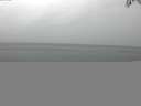 ./images/koeye/fitz-hugh/20150807/fitz-hugh20150807_080002.jpg