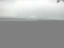 ./images/koeye/fitz-hugh/20150808/fitz-hugh20150808_120002.jpg