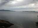 ./images/koeye/fitz-hugh/20150810/fitz-hugh20150810_060003.jpg