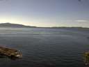 ./images/koeye/fitz-hugh/20150810/fitz-hugh20150810_140003.jpg