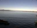 ./images/koeye/fitz-hugh/20150812/fitz-hugh20150812_100003.jpg