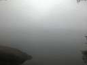 ./images/koeye/fitz-hugh/20150813/fitz-hugh20150813_060003.jpg