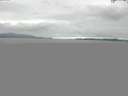 ./images/koeye/fitz-hugh/20150813/fitz-hugh20150813_100002.jpg