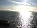 ./images/koeye/fitz-hugh/20150814/fitz-hugh20150814_180003.jpg