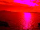 ./images/koeye/fitz-hugh/20150816/fitz-hugh20150816_180004.jpg