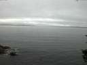 ./images/koeye/fitz-hugh/20150819/fitz-hugh20150819_060003.jpg