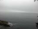 ./images/koeye/fitz-hugh/20150819/fitz-hugh20150819_080002.jpg