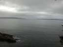 ./images/koeye/fitz-hugh/20150820/fitz-hugh20150820_080003.jpg