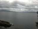 ./images/koeye/fitz-hugh/20150820/fitz-hugh20150820_121502.jpg