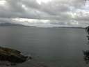 ./images/koeye/fitz-hugh/20150820/fitz-hugh20150820_121801.jpg