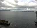 ./images/koeye/fitz-hugh/20150820/fitz-hugh20150820_122102.jpg