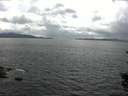 ./images/koeye/fitz-hugh/20150820/fitz-hugh20150820_160003.jpg