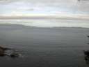 ./images/koeye/fitz-hugh/20150821/fitz-hugh20150821_060002.jpg