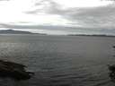 ./images/koeye/fitz-hugh/20150822/fitz-hugh20150822_121503.jpg